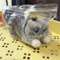 Cat squishy