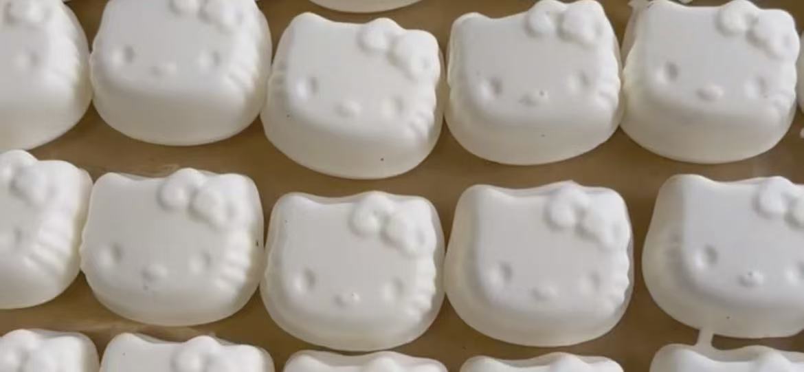 cute cat squishy