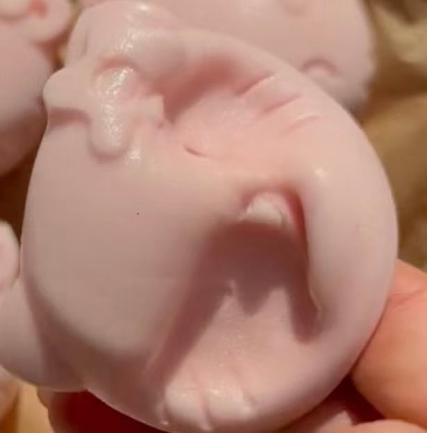 cute cat squishy